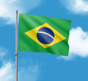 Bandeira Face Única Made in Japan